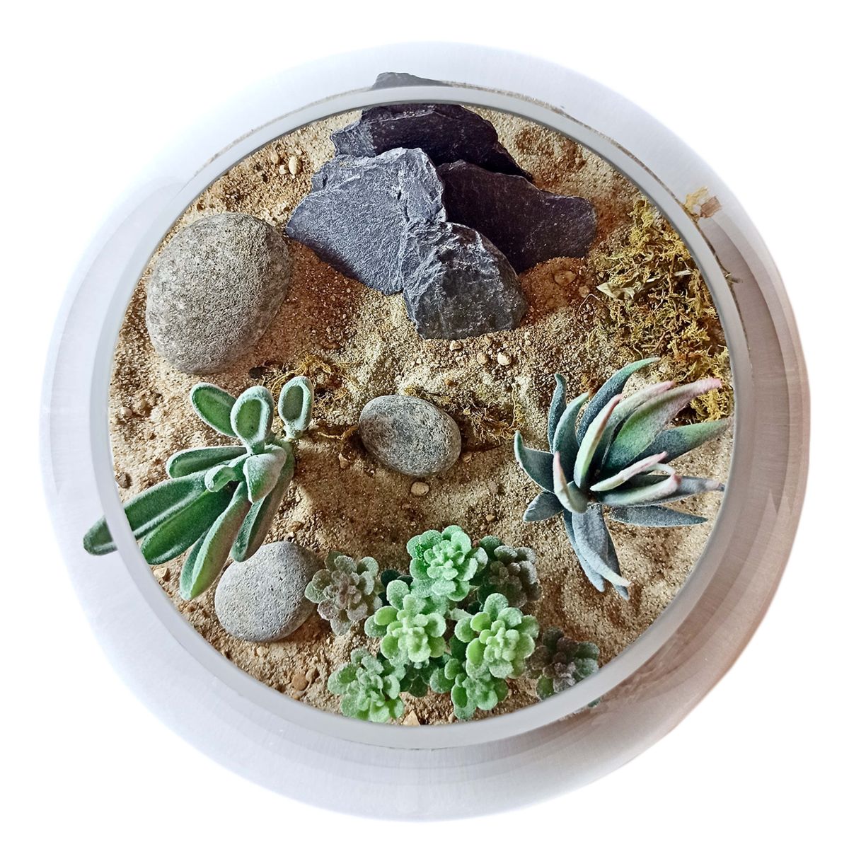 The Desert Aerial