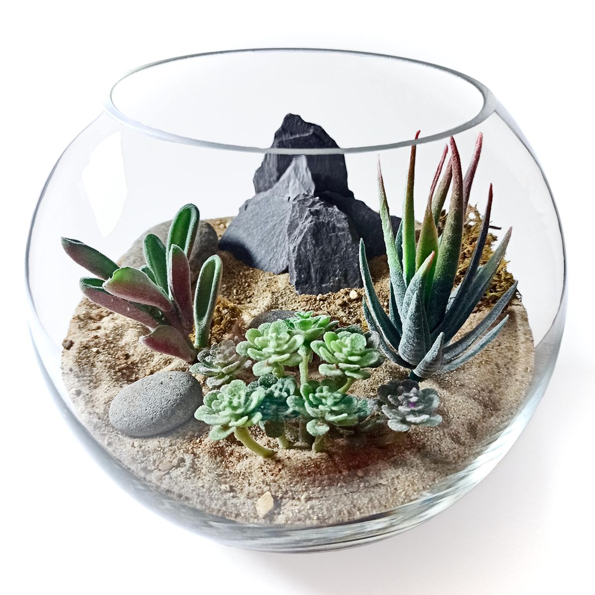 The Desert - Everlasting Terrarium