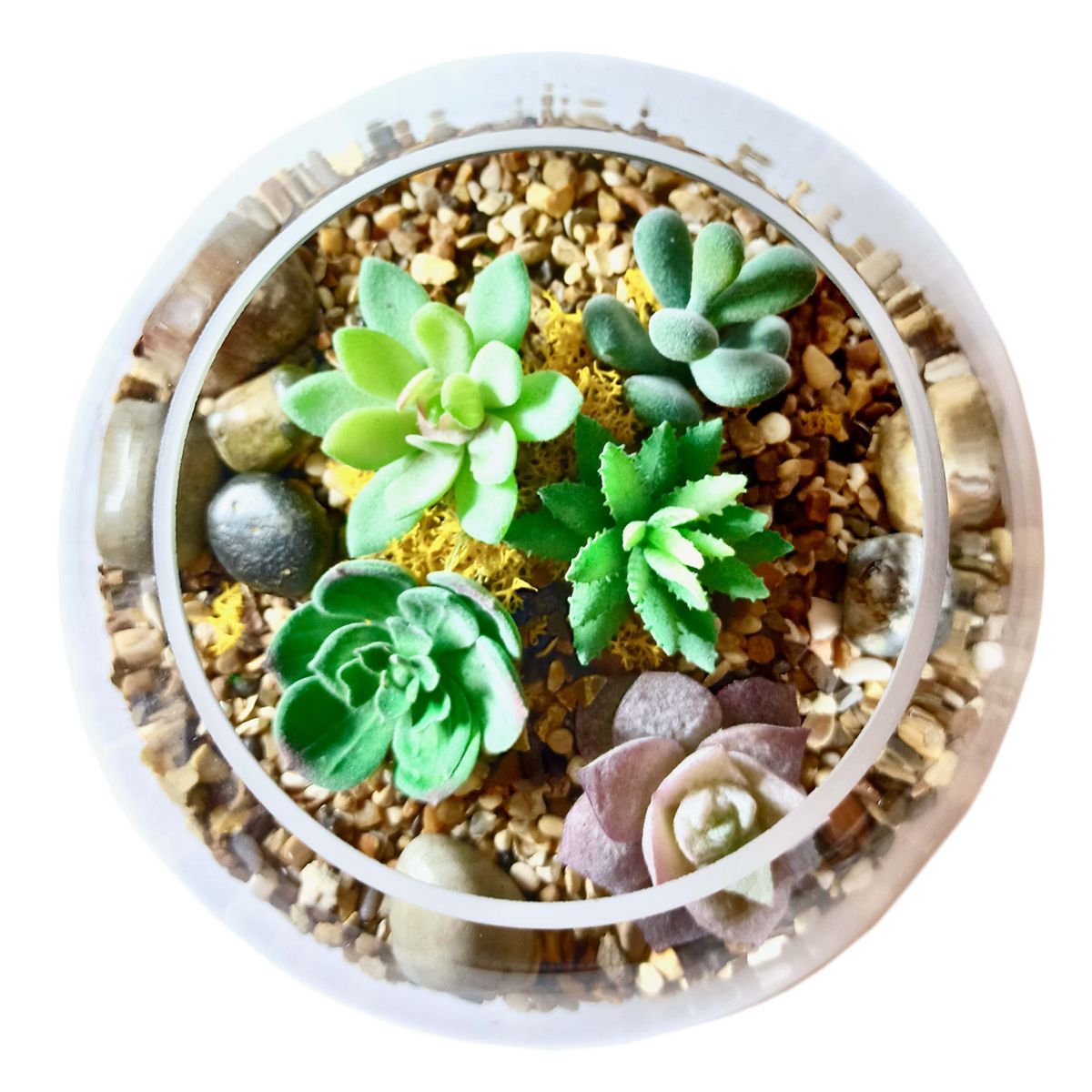 The Succulent Collection Aerial